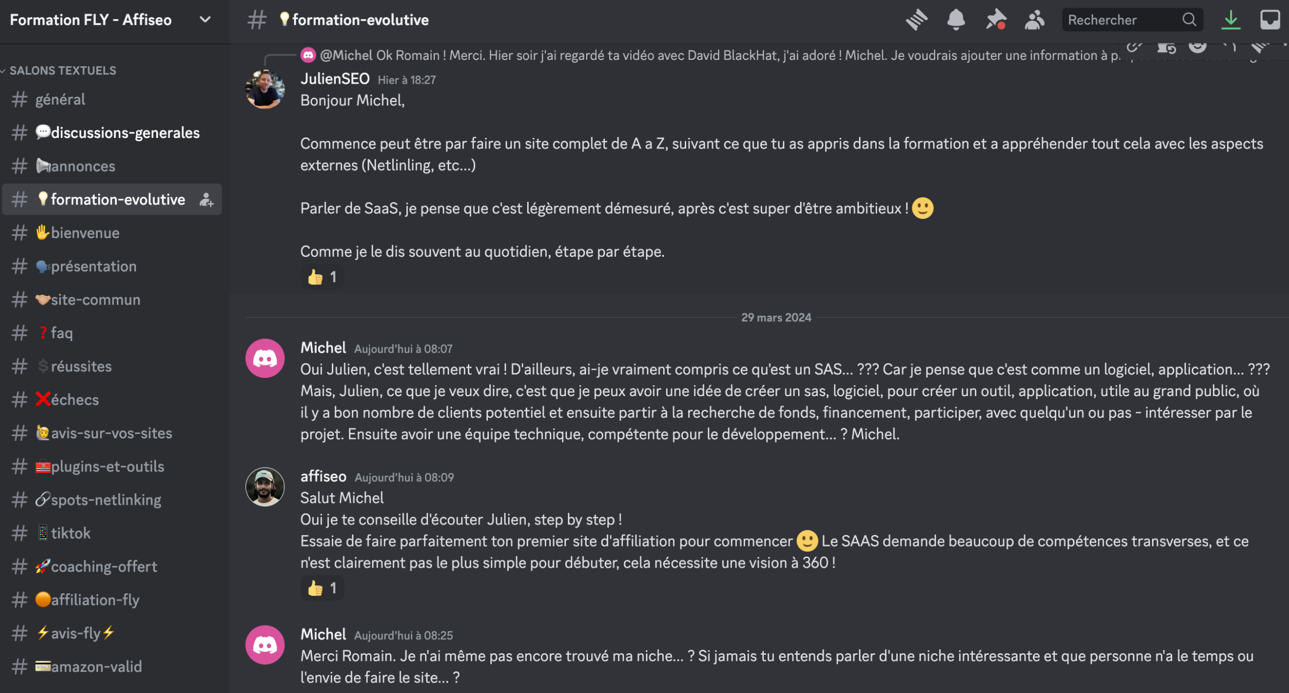 Discord Fly Affiseo